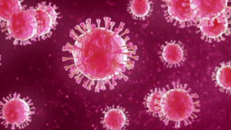 Mass Hysteria: A New Symptom of the Coronavirus