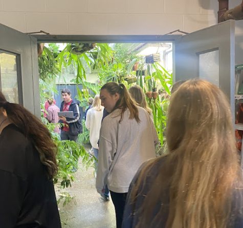 Plants, Specimens, and Fossils, Oh My! Biology Students Visit UConn