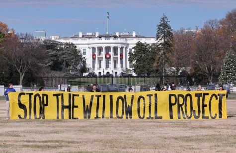 The Willow Project: Avoiding Doomism within Climate Activism